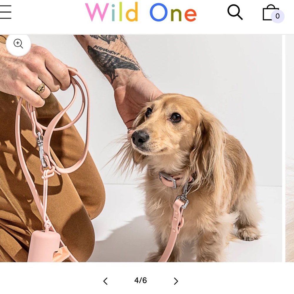 Wild One Collar in Blush
XS NEW 
$38 EXTRA SMALL  7”-10"  STRAP WIDTH 0.5”